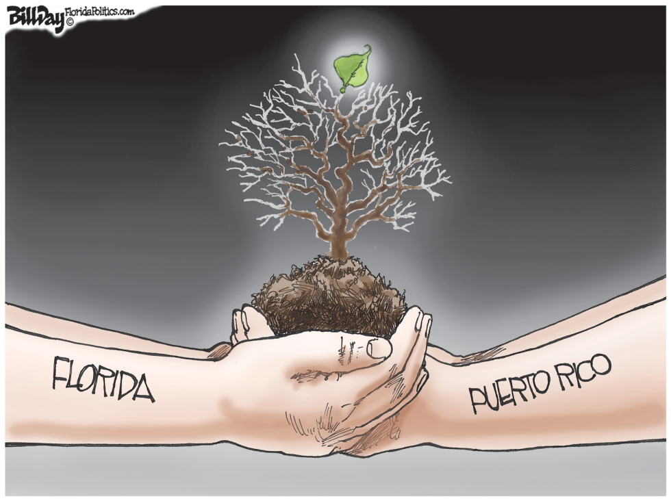 New Life FLORIDA