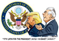 SECRETARY TILLERSON SAYS PRESIDENT TRUMP IS SMART by R.J. Matson