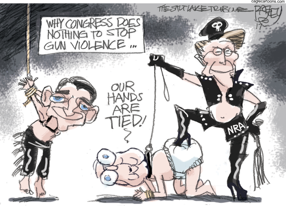 Congress and NRA