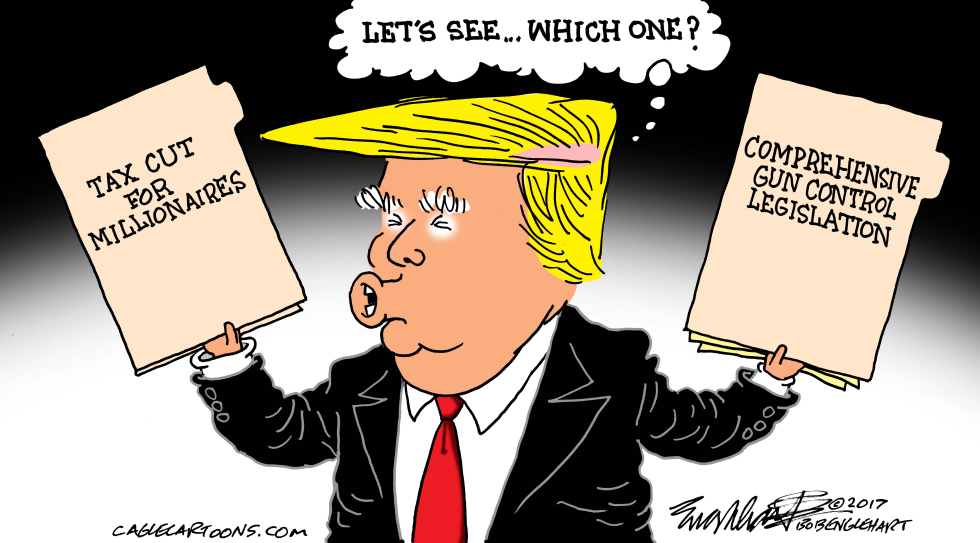 trump Gun Control