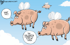 WHEN PIGS FLY by Bruce Plante
