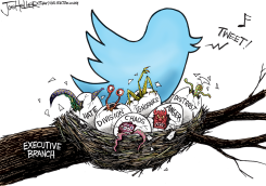 TWEET NEST by Joe Heller