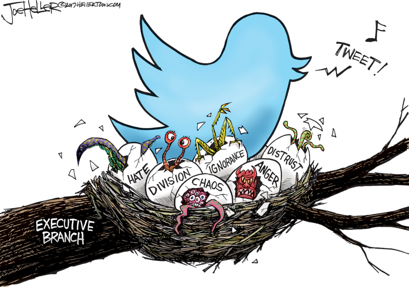 Tweet Nest