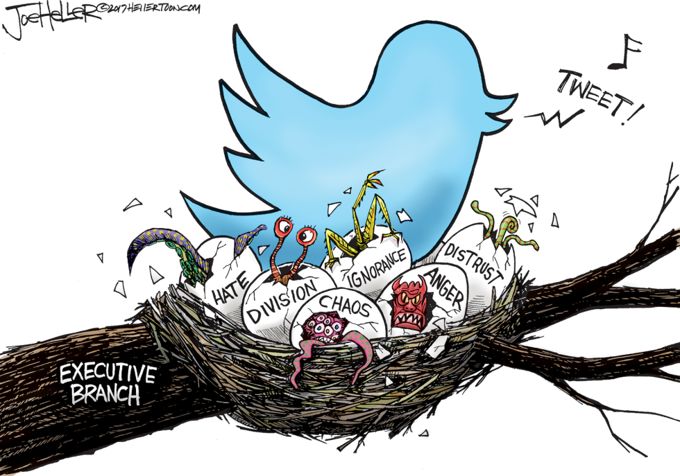 Tweet Nest
