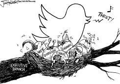 TWEET NEST by Joe Heller