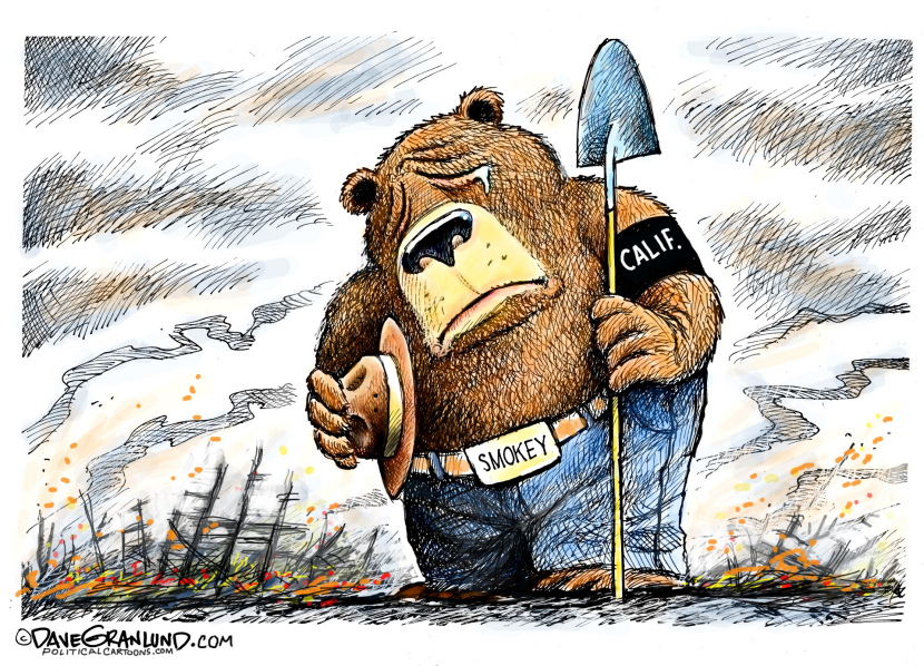 California fires COLOR