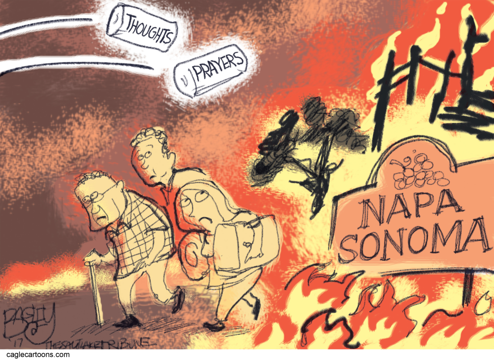  CALIFORNIA FIRES by Pat Bagley