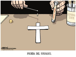 PRUEBA DEL TORNASOL /  by R.J. Matson