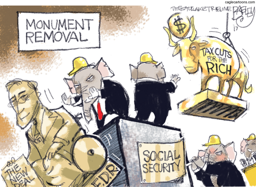 Tax Cut Calf