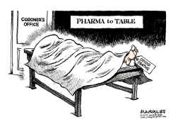 OPIOID DEATHS  by Jimmy Margulies