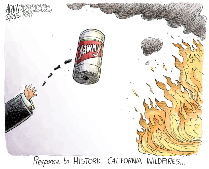 CA Wildfires COLOR