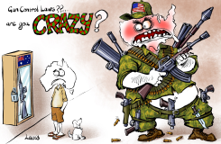 GUN CONTROL by Peter Lewis