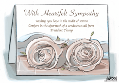 GOLD STAR SYMPATHY CARD by R.J. Matson
