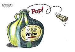 TRUMP AND SENATOR CORKER  by Jimmy Margulies