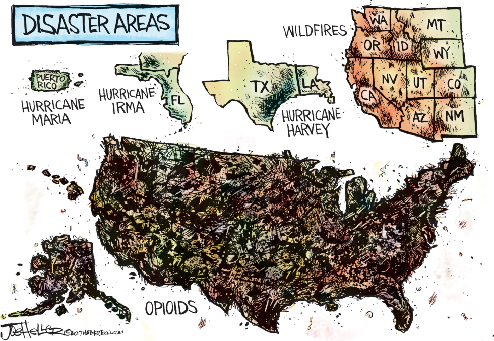 Disaster Areas