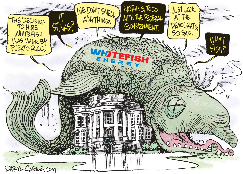  WHITE HOUSE AND WHITEFISH by Daryl Cagle