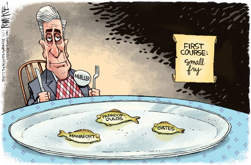 Mueller Small Fry