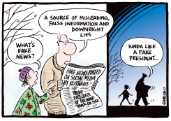 KINDA LIKE A FAKE PRESIDENT by Ingrid Rice