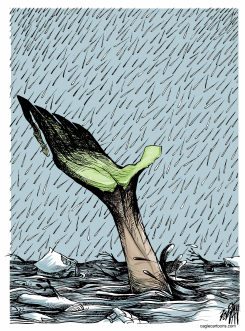 HELP MEXICO /  by Angel Boligan