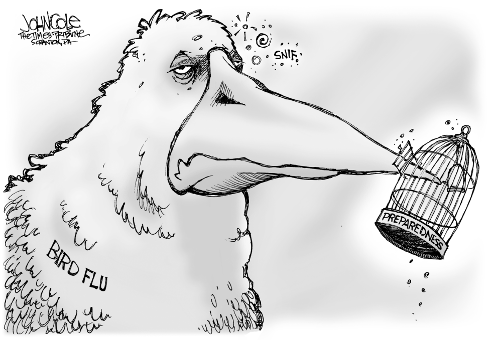 Big bird little cage BW