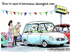 HURRICANE-DAMAGED CARS by Dave Granlund