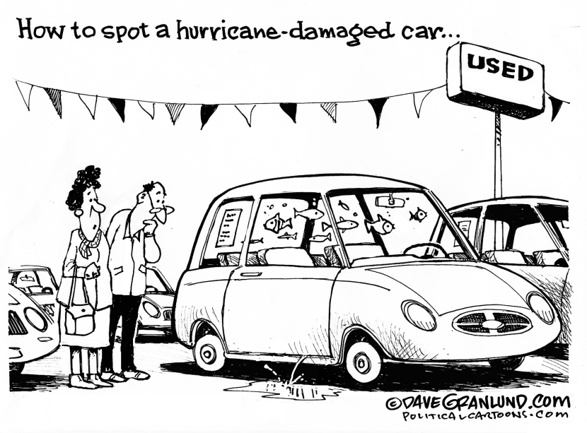Hurricane- damaged cars