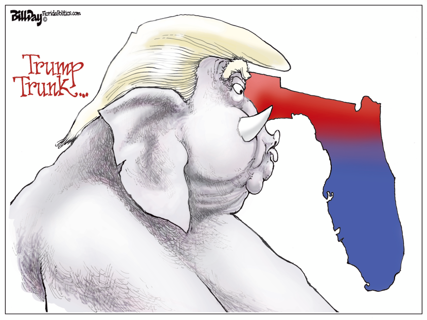 Florida Trump Trunk