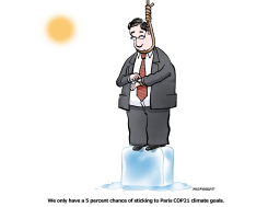 PARIS CLIMATE GOALS by Niels Bo Bojesen