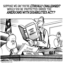 DEFENDING KARL ROVE by R.J. Matson