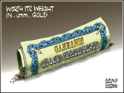 CANNABIS STOCKS SOAR IN VALUE by Terry Mosher