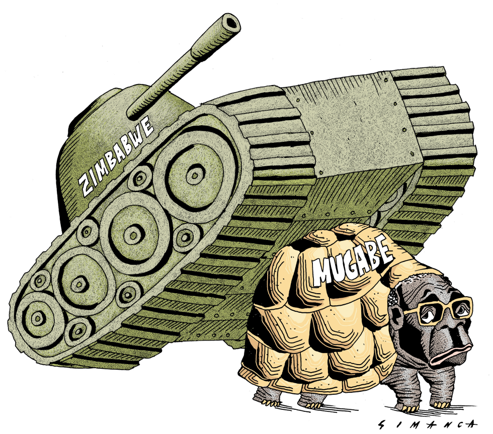 Zimbabwe crisis / COLOR