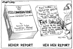 FEES COMMISSION REPORT by Zapiro