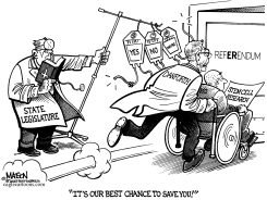 MISSOURI-STEM CELL RESEARCH REFERENDUM by R.J. Matson