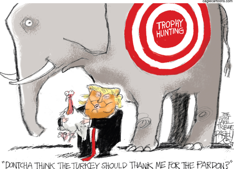 Trophy Hunt
