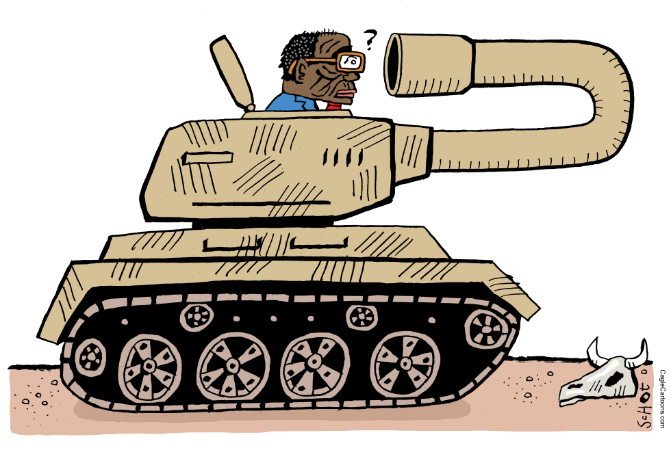 Military coup Mugabe