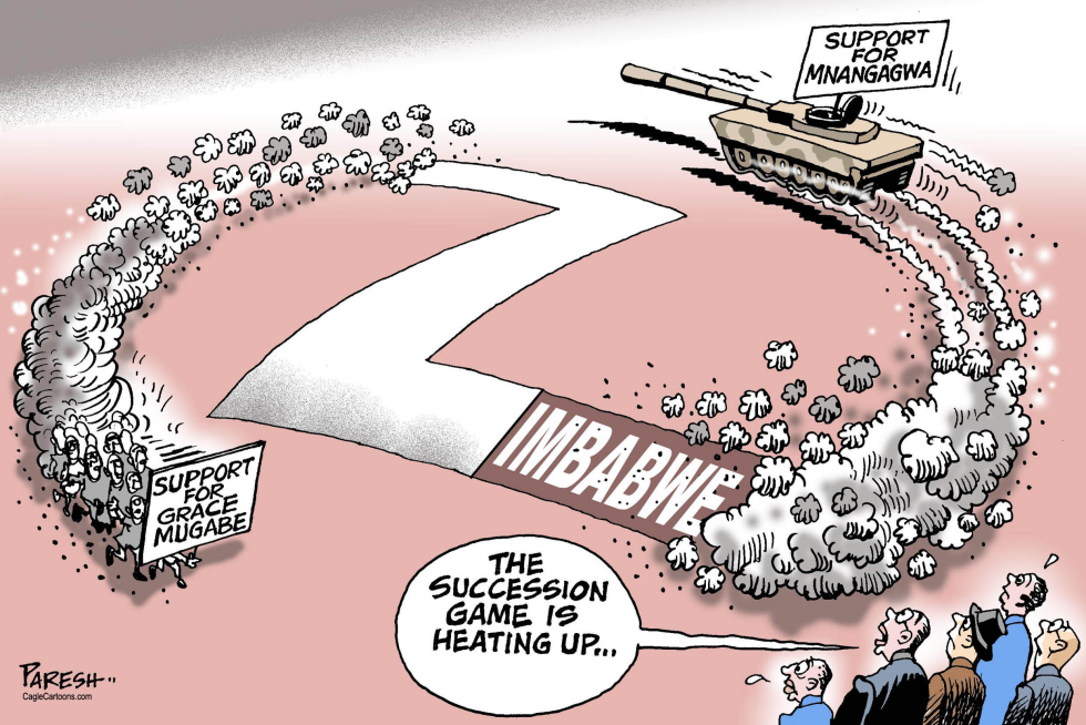 Zimbabwe crisis