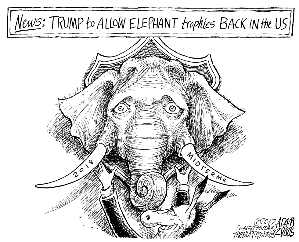 Trophy hunting
