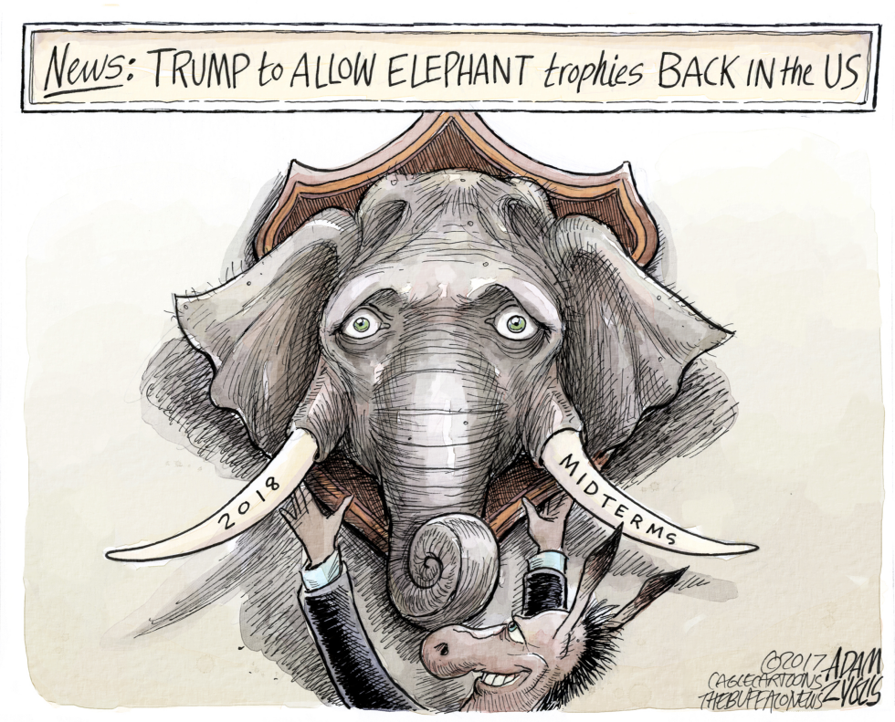 Trophy hunting COLOR