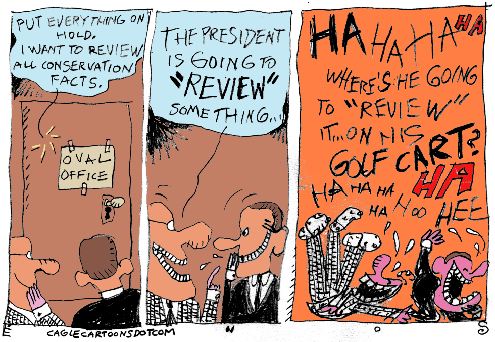  TRUMP REVIEWS by Randall Enos