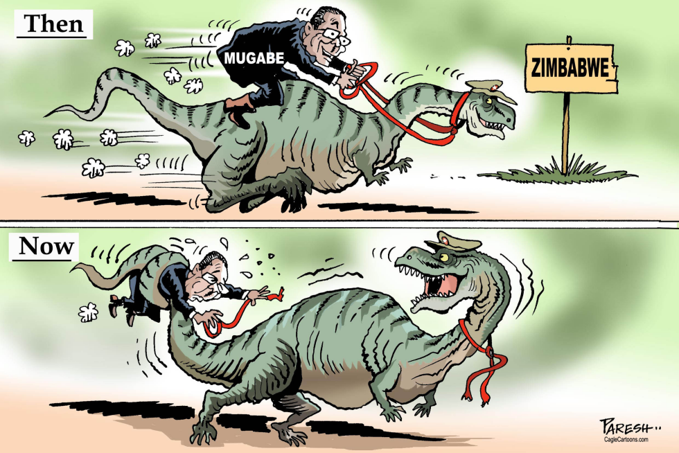 Mugabe then and now