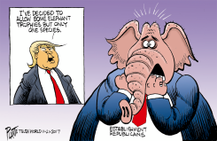 ELEPHANT TROPHIES by Bruce Plante