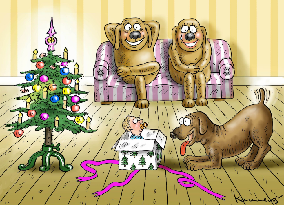 Dog Christmas Gift