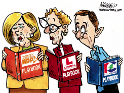 PLAYBOOKS by Steve Nease