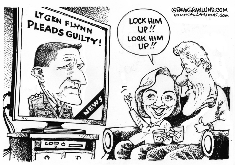 Flynn pleads guilty