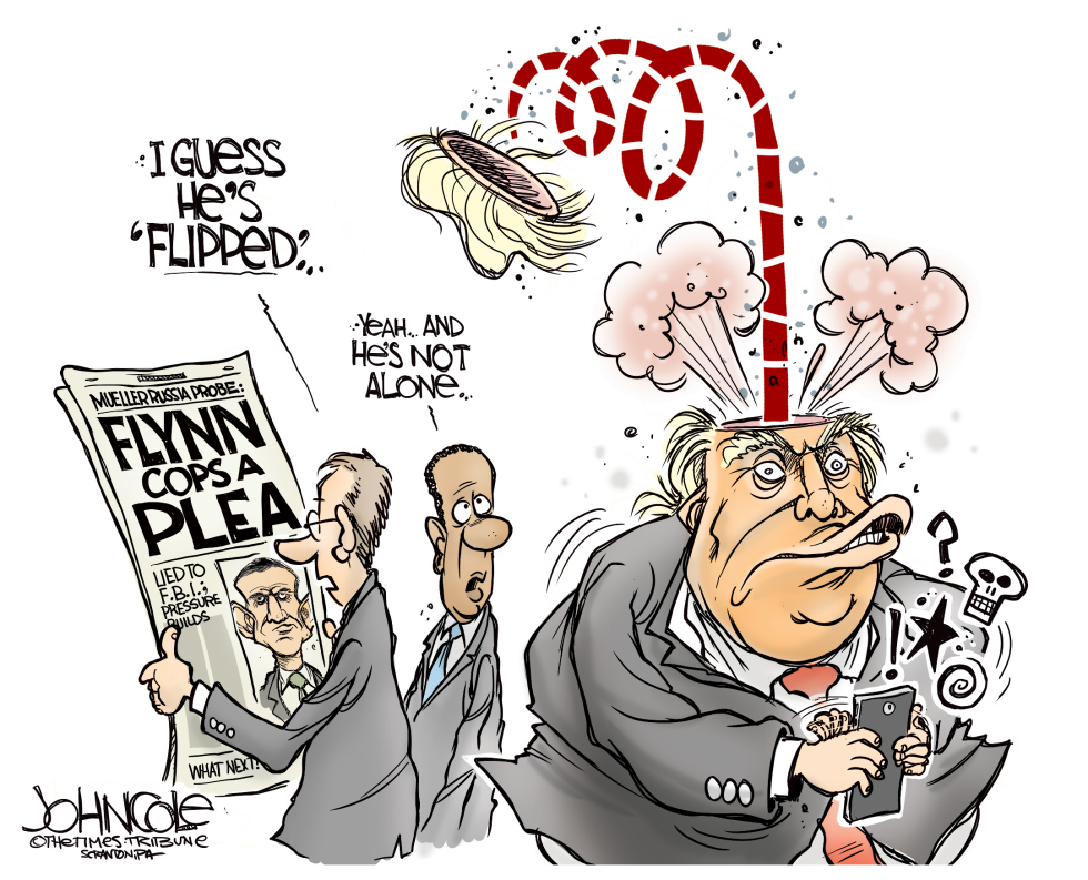 Trump flips out