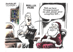 MUELLER PROBE  by Jimmy Margulies