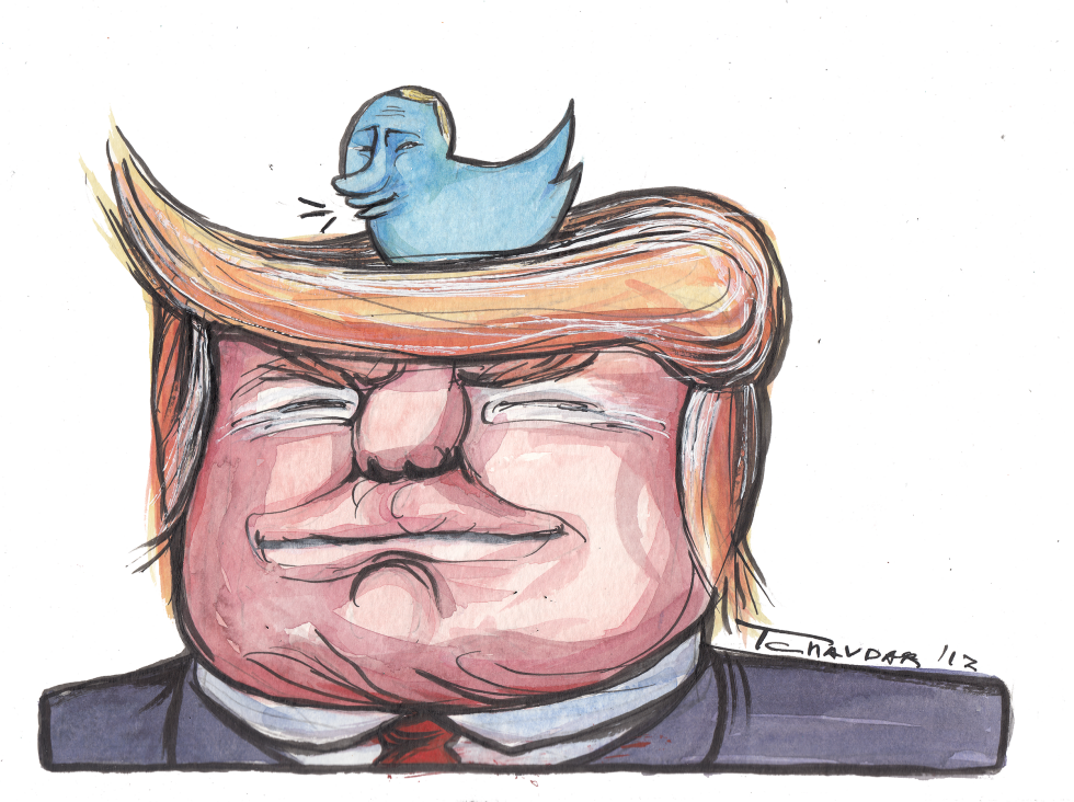 Trump's nest