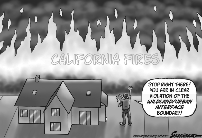 California Fires bw