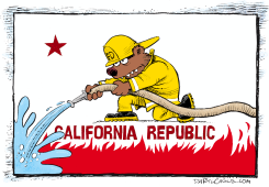 CALIFORNIA FIREFIGHTER FLAG by Daryl Cagle