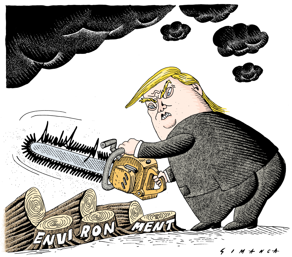 Trump's Signature
